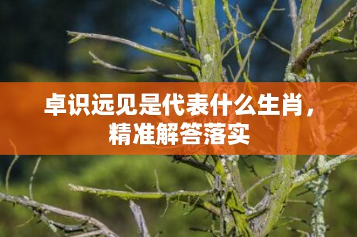 卓识远见是代表什么生肖，精准解答落实