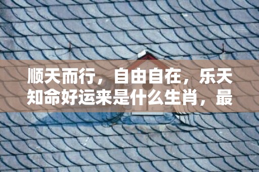 顺天而行，自由自在，乐天知命好运来是什么生肖，最佳解答落实