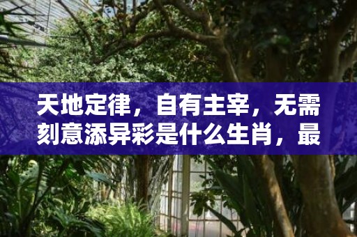 天地定律，自有主宰，无需刻意添异彩是什么生肖，最佳解答落实