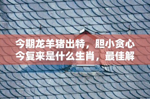 今期龙羊猪出特，胆小贪心今复来是什么生肖，最佳解答落实