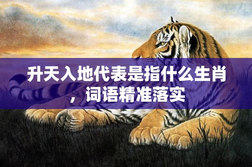升天入地代表是指什么生肖，词语精准落实