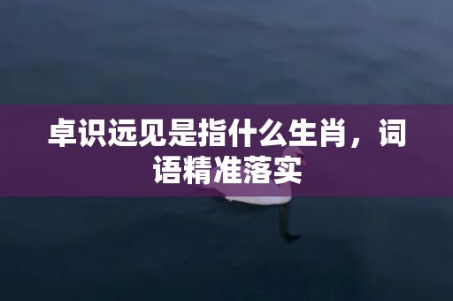 卓识远见是指什么生肖，词语精准落实