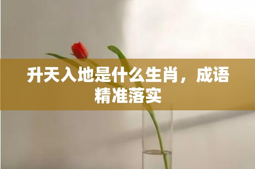 升天入地是什么生肖，成语精准落实