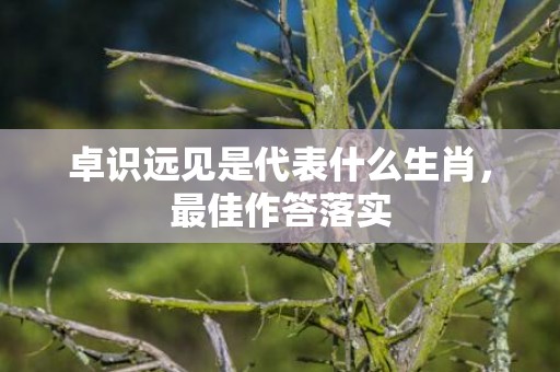卓识远见是代表什么生肖，最佳作答落实