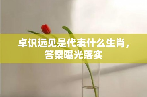 卓识远见是代表什么生肖，答案曝光落实