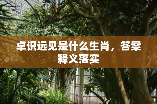 卓识远见是什么生肖，答案释义落实