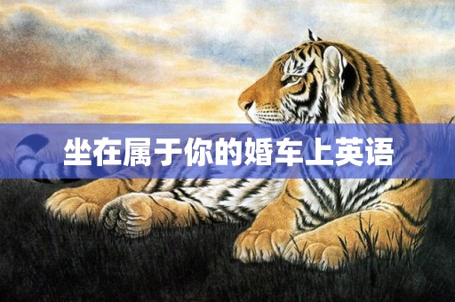 坐在属于你的婚车上英语