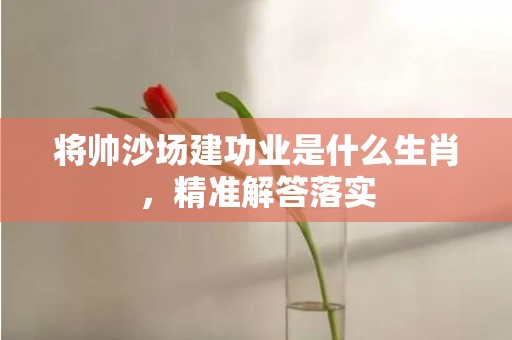 将帅沙场建功业是什么生肖，精准解答落实