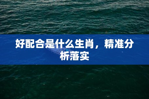 好配合是什么生肖，精准分析落实