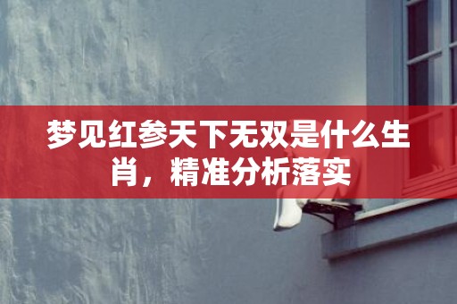 梦见红参天下无双是什么生肖，精准分析落实