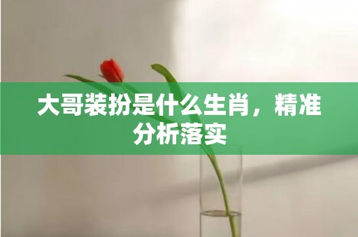 大哥装扮是什么生肖，精准分析落实