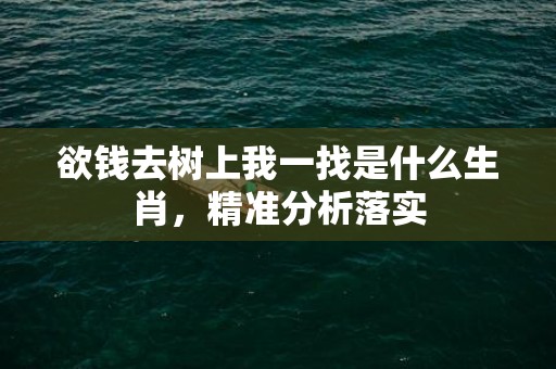 欲钱去树上我一找是什么生肖，精准分析落实