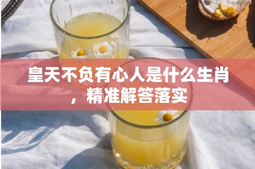 皇天不负有心人是什么生肖，精准解答落实