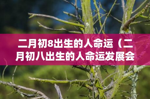 二月初8出生的人命运（二月初八出生的人命运发展会如何二月初八出生的人好不好_...）