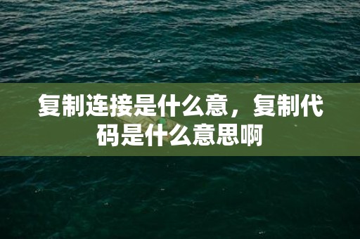 复制连接是什么意，复制代码是什么意思啊