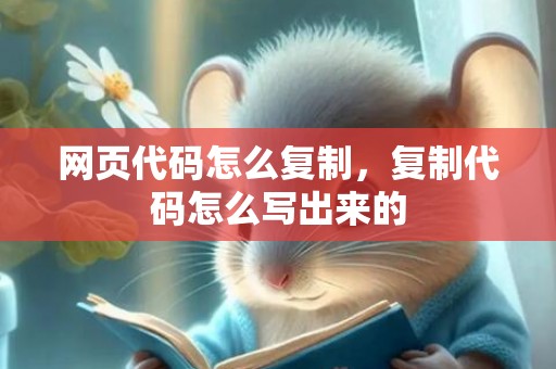 网页代码怎么复制，复制代码怎么写出来的