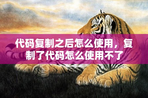 代码复制之后怎么使用，复制了代码怎么使用不了