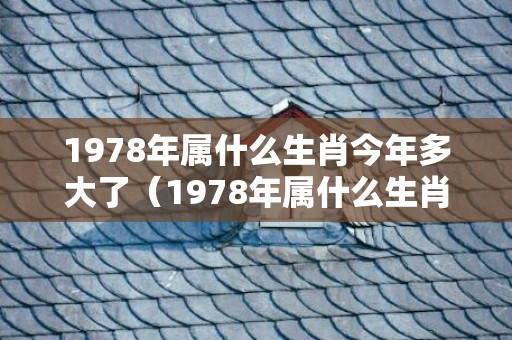 1978年属什么生肖今年多大了（1978年属什么生肖多少岁了）