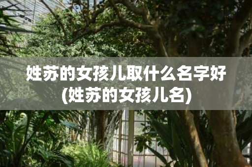 姓苏的女孩儿取什么名字好(姓苏的女孩儿名)