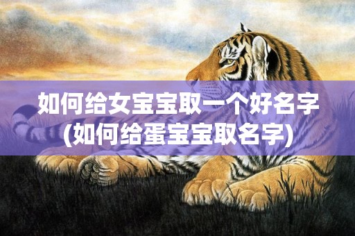 如何给女宝宝取一个好名字(如何给蛋宝宝取名字)