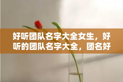 好听团队名字大全女生，好听的团队名字大全，团名好听的唯美的