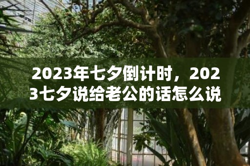 2023年七夕倒计时，2023七夕说给老公的话怎么说，七夕写给老公的暖心话