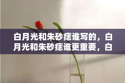 白月光和朱砂痣谁写的，白月光和朱砂痣谁更重要，白月光和朱砂痣的区别