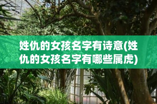 姓仇的女孩名字有诗意(姓仇的女孩名字有哪些属虎)