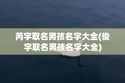 芮字取名男孩名字大全(俊字取名男孩名字大全)