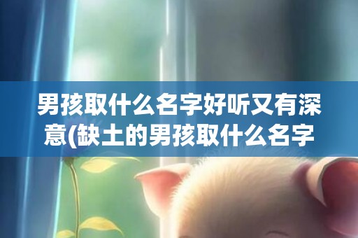 男孩取什么名字好听又有深意(缺土的男孩取什么名字好)