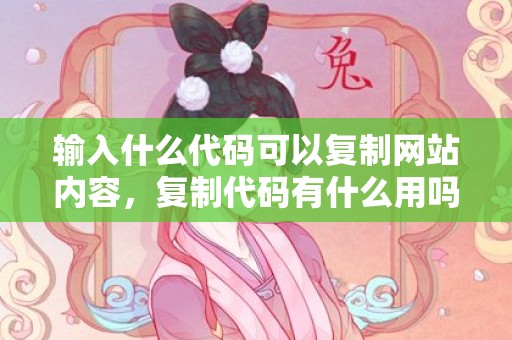 输入什么代码可以复制网站内容，复制代码有什么用吗安卓
