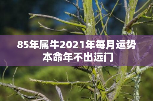 85年属牛2021年每月运势 本命年不出远门