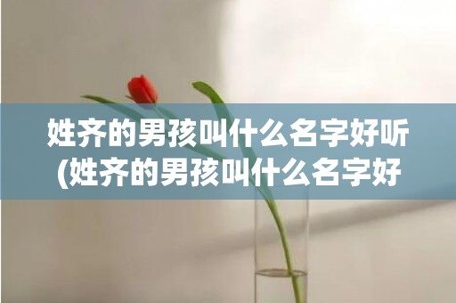 姓齐的男孩叫什么名字好听(姓齐的男孩叫什么名字好听齐字的成语)