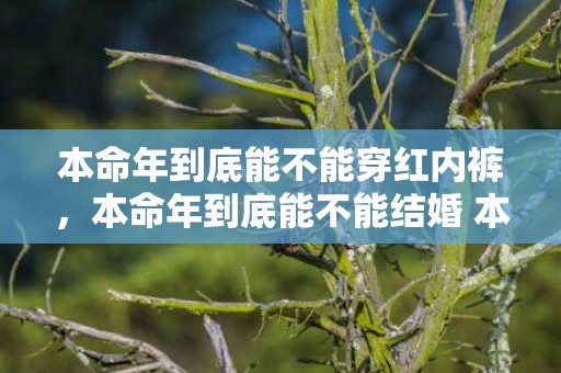 本命年到底能不能穿红内裤，本命年到底能不能结婚 本命年转运方式