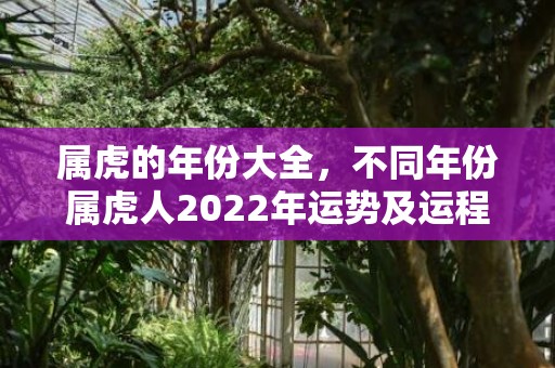 属虎的年份大全，不同年份属虎人2022年运势及运程分析