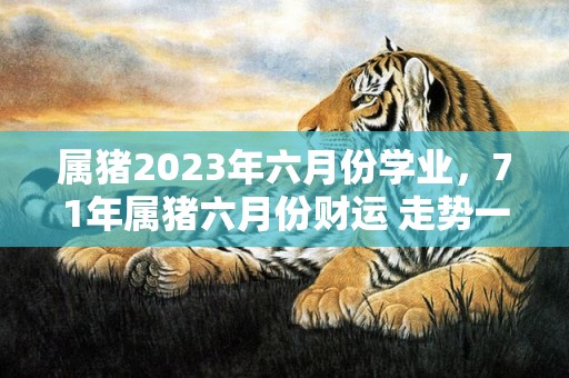 属猪2023年六月份学业，71年属猪六月份财运 走势一路走高