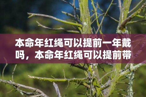 本命年红绳可以提前一年戴吗，本命年红绳可以提前带么 化解犯太岁的方法