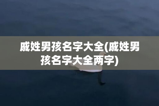 戚姓男孩名字大全(戚姓男孩名字大全两字)