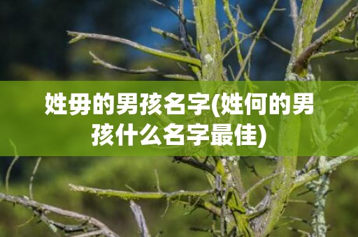 姓毋的男孩名字(姓何的男孩什么名字最佳)