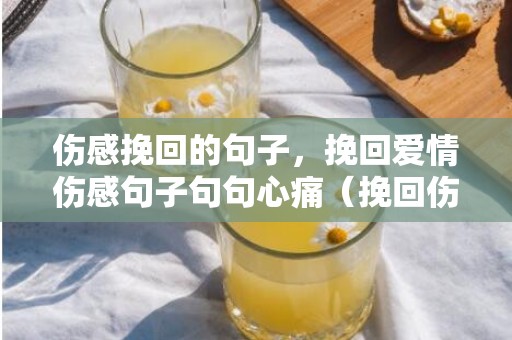 伤感挽回的句子，挽回爱情伤感句子句句心痛（挽回伤感的句子）