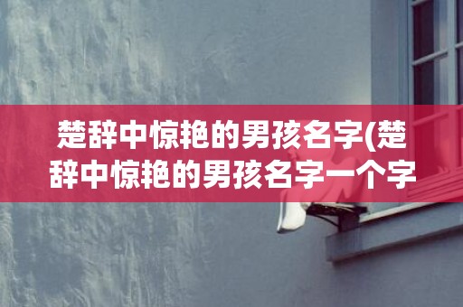 楚辞中惊艳的男孩名字(楚辞中惊艳的男孩名字一个字)