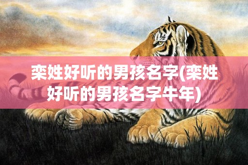 栾姓好听的男孩名字(栾姓好听的男孩名字牛年)