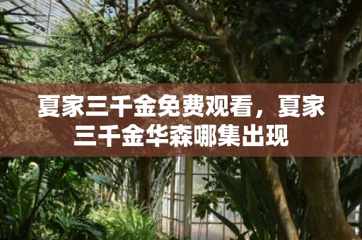 夏家三千金免费观看，夏家三千金华森哪集出现
