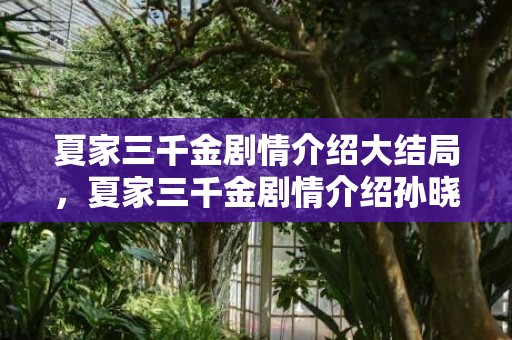 夏家三千金剧情介绍大结局，夏家三千金剧情介绍孙晓菁