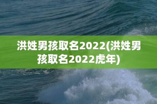 洪姓男孩取名2022(洪姓男孩取名2022虎年)