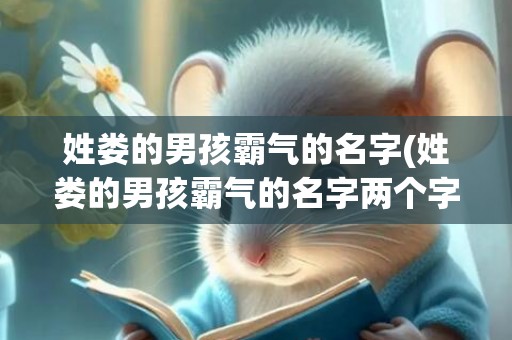 姓娄的男孩霸气的名字(姓娄的男孩霸气的名字两个字)
