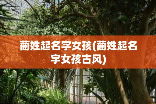 蔺姓起名字女孩(蔺姓起名字女孩古风)