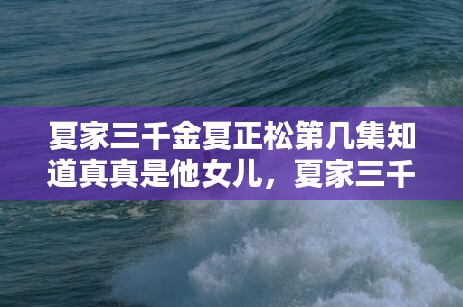 夏家三千金夏正松第几集知道真真是他女儿，夏家三千金夏正松和杨柳