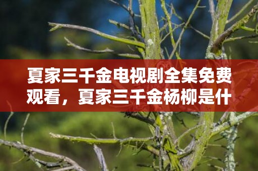 夏家三千金电视剧全集免费观看，夏家三千金杨柳是什么死了
