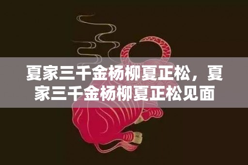 夏家三千金杨柳夏正松，夏家三千金杨柳夏正松见面